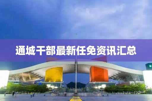 通城干部最新任免资讯汇总