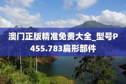 澳门正版精准免费大全_型号P455.783扁形部件
