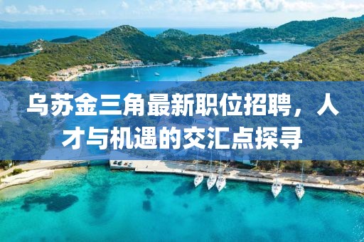乌苏金三角最新职位招聘，人才与机遇的交汇点探寻