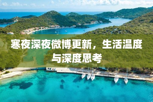 寒夜深夜微博更新，生活温度与深度思考