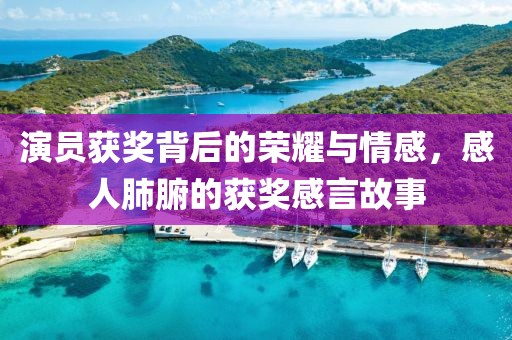 演员获奖背后的荣耀与情感，感人肺腑的获奖感言故事