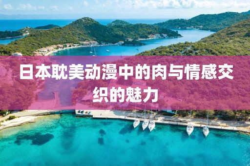 日本耽美动漫中的肉与情感交织的魅力
