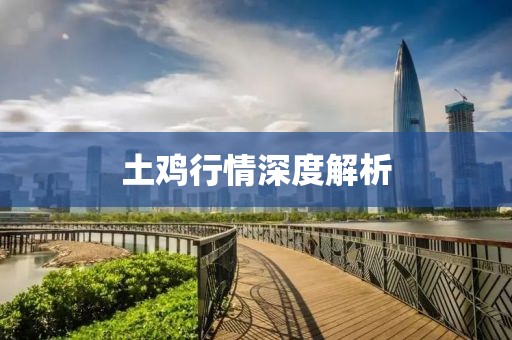 土鸡行情深度解析