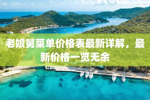 老娘舅菜单价格表最新详解，最新价格一览无余