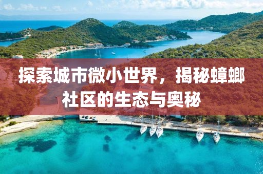 探索城市微小世界，揭秘蟑螂社区的生态与奥秘