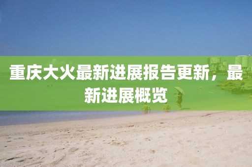 重庆大火最新进展报告更新，最新进展概览