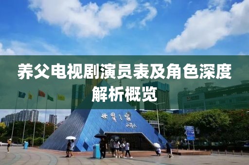 养父电视剧演员表及角色深度解析概览