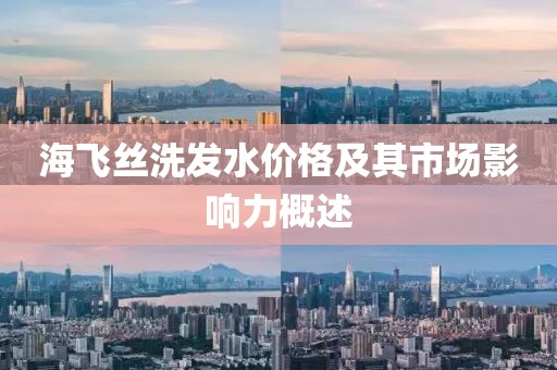 海飞丝洗发水价格及其市场影响力概述