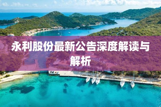 永利股份最新公告深度解读与解析