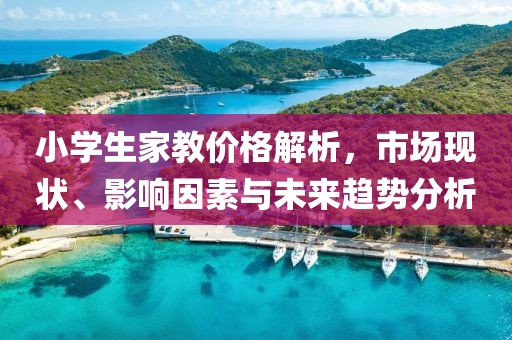 小学生家教价格解析，市场现状、影响因素与未来趋势分析