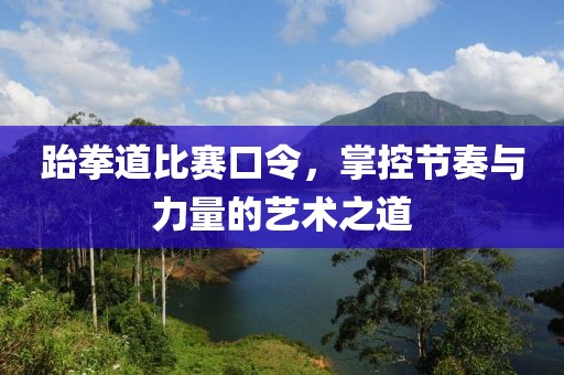 跆拳道比赛口令，掌控节奏与力量的艺术之道