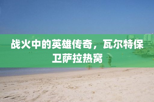 战火中的英雄传奇，瓦尔特保卫萨拉热窝