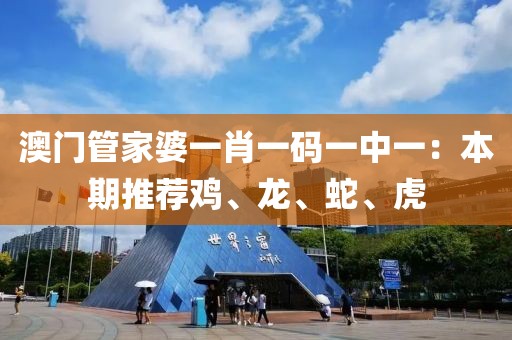 澳门管家婆一肖一码一中一：本期推荐鸡、龙、蛇、虎
