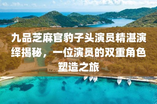 九品芝麻官豹子头演员精湛演绎揭秘，一位演员的双重角色塑造之旅