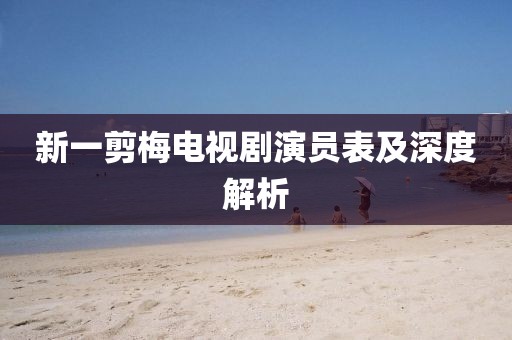 新一剪梅电视剧演员表及深度解析