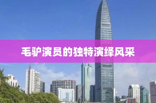毛驴演员的独特演绎风采