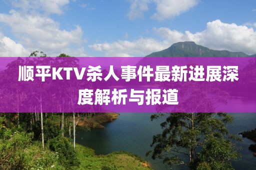 顺平KTV杀人事件最新进展深度解析与报道