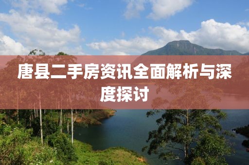唐县二手房资讯全面解析与深度探讨