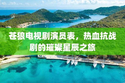 苍狼电视剧演员表，热血抗战剧的璀璨星辰之旅