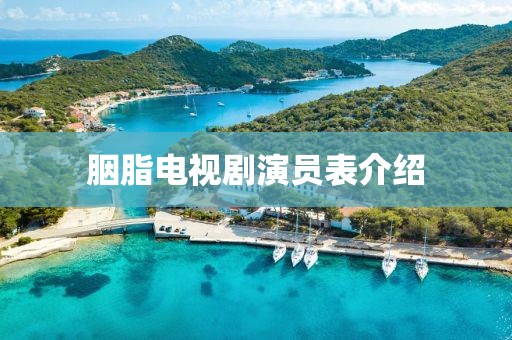 胭脂电视剧演员表介绍