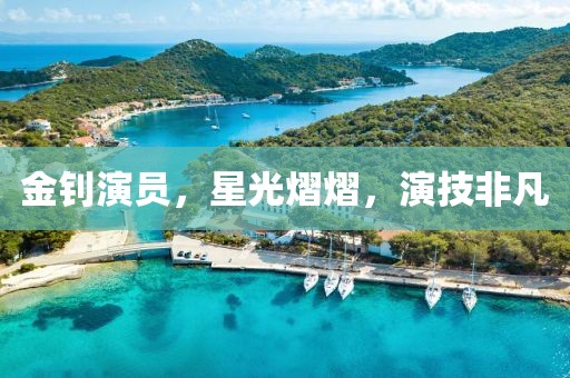 金钊演员，星光熠熠，演技非凡