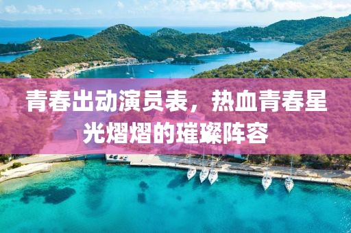 青春出动演员表，热血青春星光熠熠的璀璨阵容