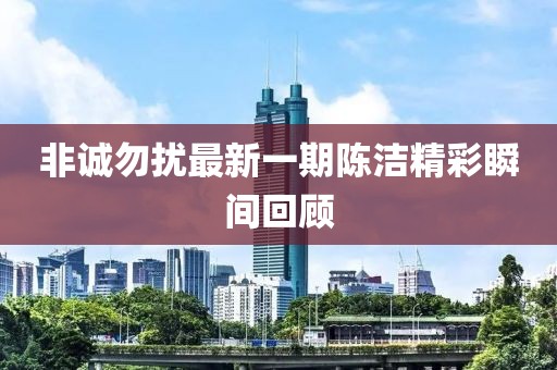 非诚勿扰最新一期陈洁精彩瞬间回顾
