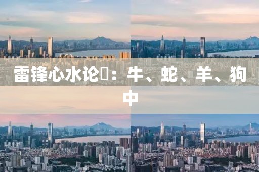 雷锋心水论枟：牛、蛇、羊、狗中
