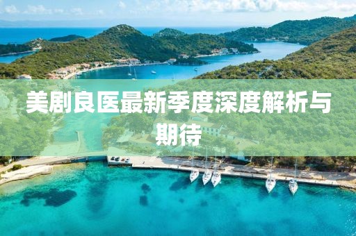 美剧良医最新季度深度解析与期待