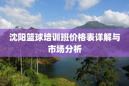 沈阳篮球培训班价格表详解与市场分析