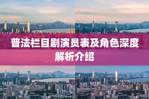普法栏目剧演员表及角色深度解析介绍