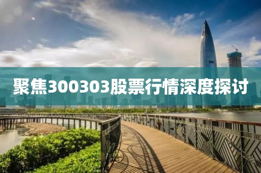聚焦300303股票行情深度探讨