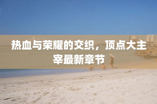 热血与荣耀的交织，顶点大主宰最新章节
