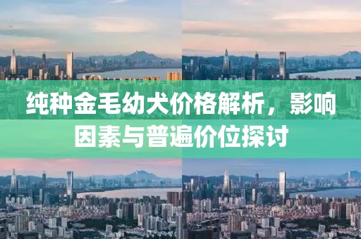 纯种金毛幼犬价格解析，影响因素与普遍价位探讨