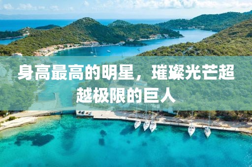 身高最高的明星，璀璨光芒超越极限的巨人