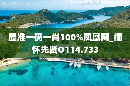 最准一码一肖100%凤凰网_缅怀先贤O114.733