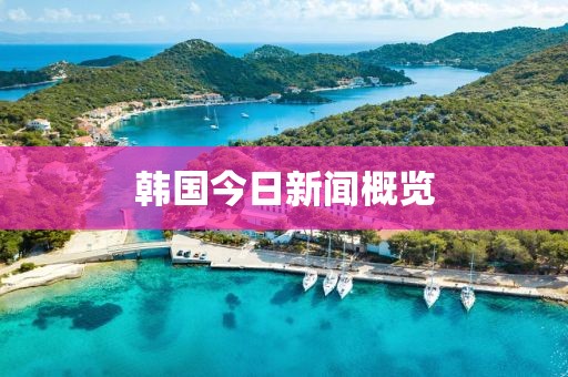 韩国今日新闻概览