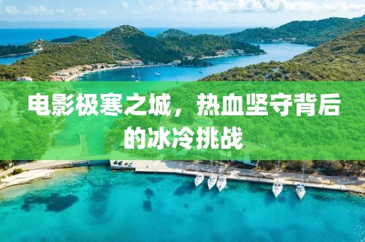 电影极寒之城，热血坚守背后的冰冷挑战