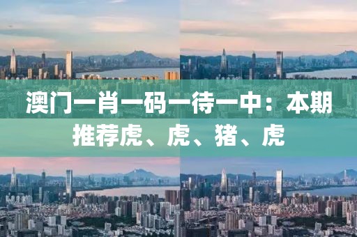 澳门一肖一码一待一中：本期推荐虎、虎、猪、虎