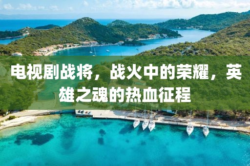 电视剧战将，战火中的荣耀，英雄之魂的热血征程