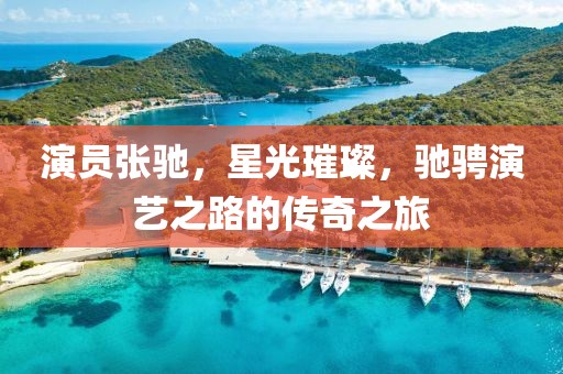 演员张驰，星光璀璨，驰骋演艺之路的传奇之旅