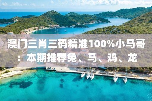 澳门三肖三码精准100%小马哥：本期推荐兔、马、鸡、龙