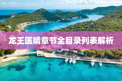 龙王医婿章节全目录列表解析