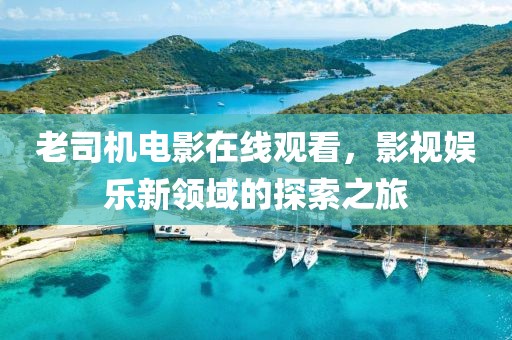 老司机电影在线观看，影视娱乐新领域的探索之旅