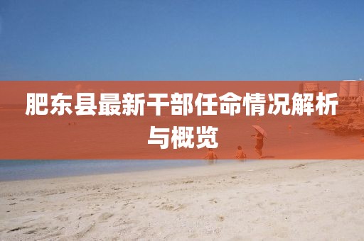 肥东县最新干部任命情况解析与概览
