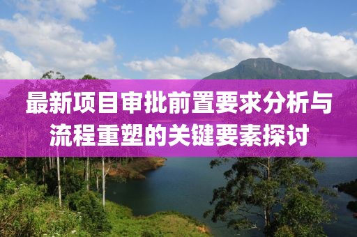 最新项目审批前置要求分析与流程重塑的关键要素探讨