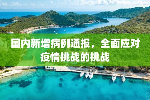 国内新增病例通报，全面应对疫情挑战的挑战