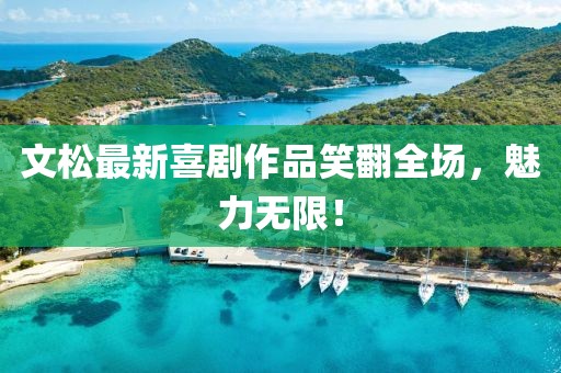 文松最新喜剧作品笑翻全场，魅力无限！