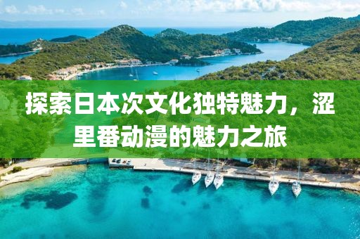 探索日本次文化独特魅力，涩里番动漫的魅力之旅