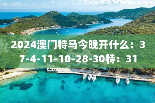 2024澳门特马今晚开什么：37-4-11-10-28-30特：31